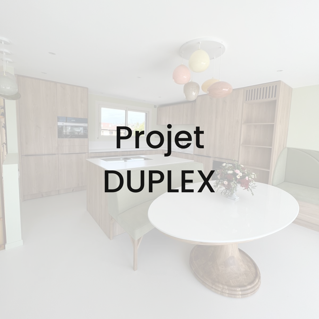 Projet Duplex