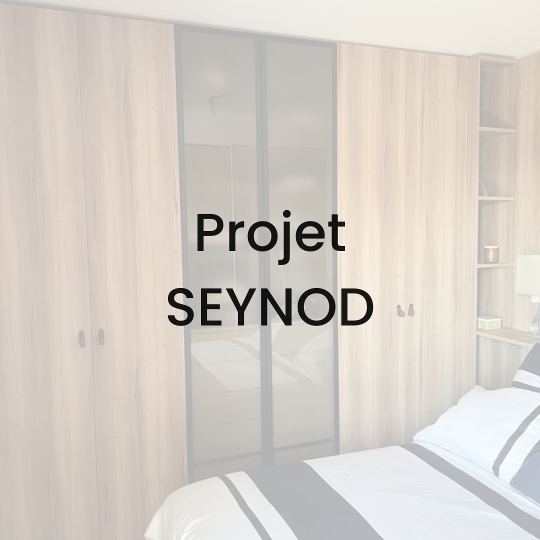 Projet Seynod