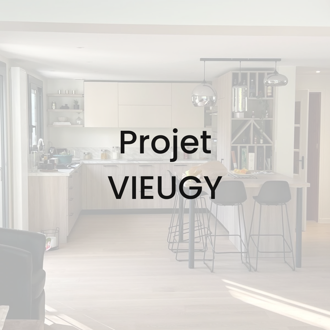 Projet Vieugy